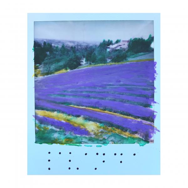 "Lavanda" Alessandro D'Aquila